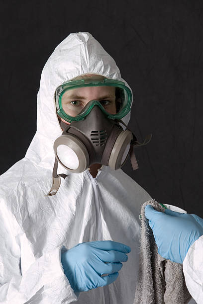 Best Biohazard Mold Removal  in Greenvle, IL